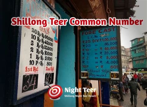Shillong Teer Common Numbers (Daily) .